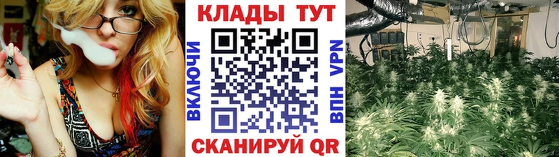 Сколько стоит Салехард МДМА  Меф  mega   Галлюциногенные грибы  КОКАИН 