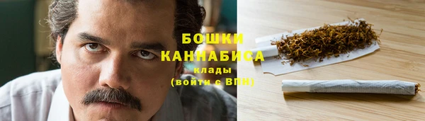 дмт Арсеньев