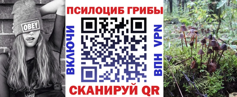 Псилоцибиновые грибы мицелий Салехард